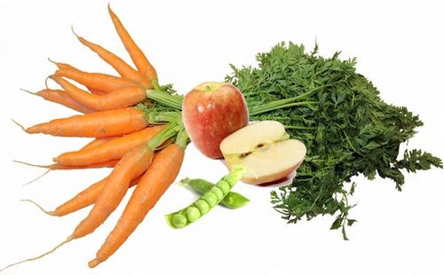 TROPIDOG Beef 12kg dorosłe psy średnich dużych ras wołowina Medium Large na Arena.pl