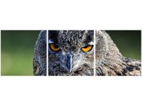 90X30CM SOWA FEANS TRÓJ OBRAZ