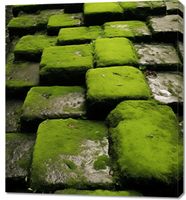 Obraz 90x100cm Zielona Mozaika