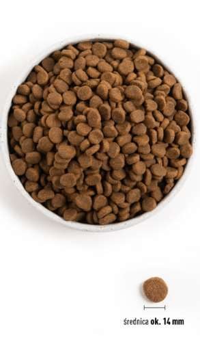 ORIJEN ORIGINAL DOG 2KG na Arena.pl