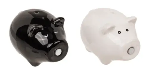 Solniczka i Pieprzniczka - Świnki z Magnetycznymi Noskami na Arena.pl