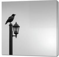 Obraz 90x90cm Samotny Postój Kruka