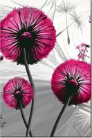 80CM 120 OBRAZ DMUCHAWCE AMARANCIE ŚCIENNY