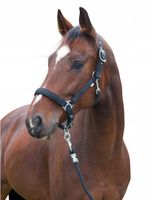 product-compare-58269818