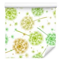 Tapeta na korytarz kolorowe dmuchawce kwiaty polne