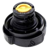 Korek zbiornika wyrównawczego LAND ROVER RANGE ROVER III 2006 2007 2008