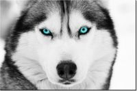 product-compare-58693943