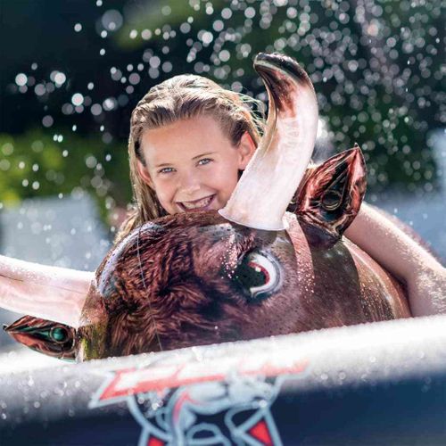 Intex Materac Basenowy Inflatabull, 56280Eu na Arena.pl