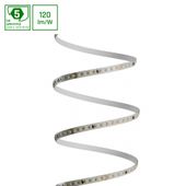 PASEK LED 2835 24V 128LED 10W/m 1200lm/m WW 8mm IP20 5LAT 5m roll