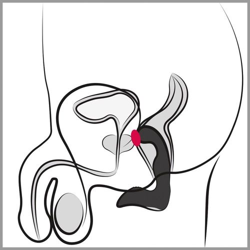 rebel prostate plug recharge na Arena.pl