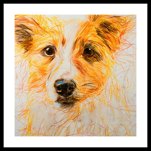 Plakat 50x50cm Uroczy Gość zdjęcie 3