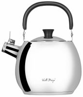 Czajnik Indukcja Gaz Srebrny Połysk Stalowy 2,5 L Vialli Design