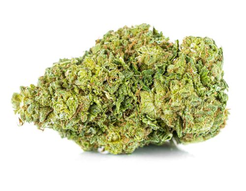 Susz konopny CBD AK 47 SUPER AMSTERDAM 1g na Arena.pl