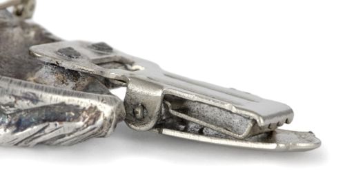 Sznaucer - klips - 1616 na Arena.pl