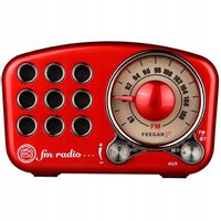 Feegar Głośnik Bezprzewodowy Bt Radio Fm Aux 10H