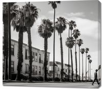 Obraz 100x90cm Spacer w Cieniu Palm