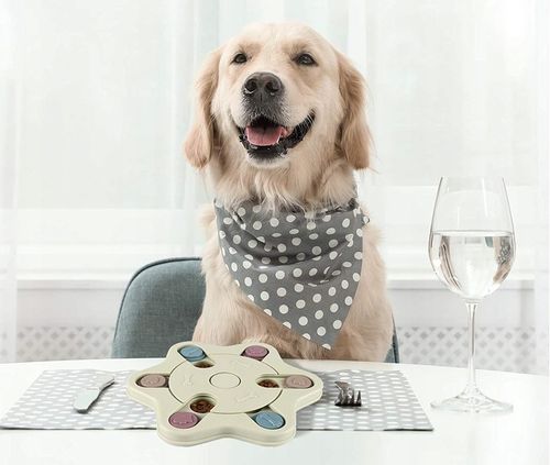 GRA EDUKACYJNA DLA PSA INTERAKTYWNA ZABAWKA WĘCH NA KARMĘ SMACZKI PRZYSMAK na Arena.pl