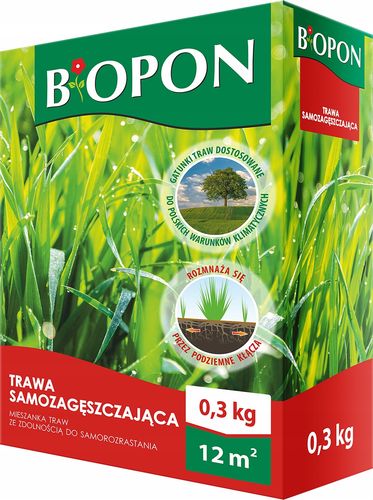 BOPON - Trawa Samozagęszczająca 12 m² - 0,3 kg na Arena.pl