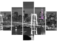 70 100CM OBRAZ 5 ELEM NOCNY WIDOK DRUK PŁÓTNO