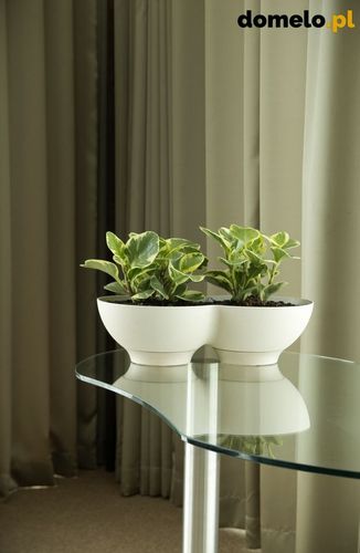 DONICZKA PLANET 440 A1 na Arena.pl