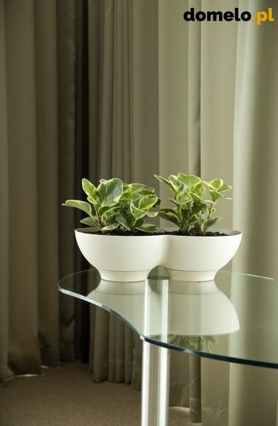 DONICZKA PLANET 440 A1 zdjęcie 5