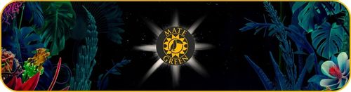 Yerba Mate Green FITNESS 400g Despalada z ziołami Fit GYM na Arena.pl