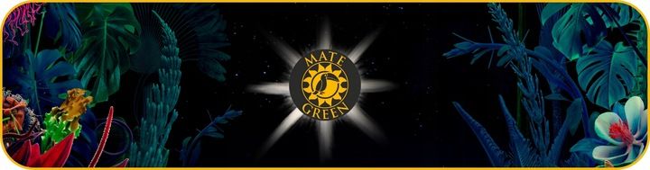 Yerba Mate Green FITNESS 400g Despalada z ziołami Fit GYM zdjęcie 4