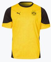 Koszulka Puma Trening BVB Borussia 2025-2026 15-16Y XL