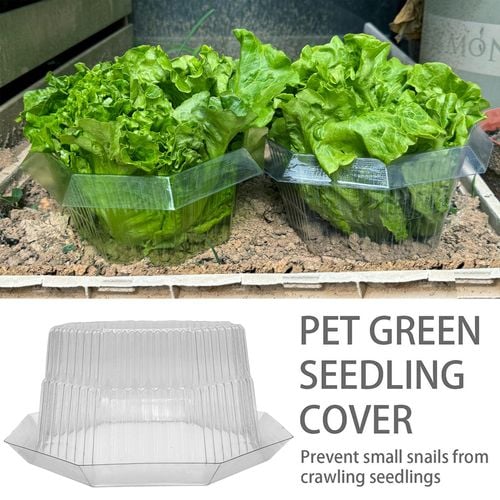 Kołnierze Przeciw Ślimakom 20 Sztuk 24x12 Ochrona Roślin Przezroczyste na Arena.pl