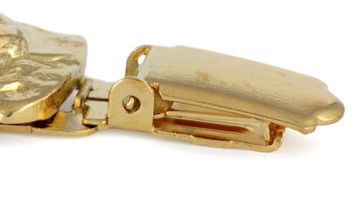 Buldog Francuski - klips - 2594 na Arena.pl