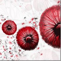 40CM 40CM OBRAZEK CZERWONE DMUCHAWCE DRUK PŁÓTNO OBRAZ