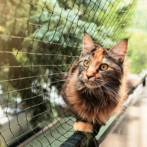 SIATKA DLA KOTA NA BALKON Z DRUCIKIEM ZESTAW 2 x 5 na Arena.pl