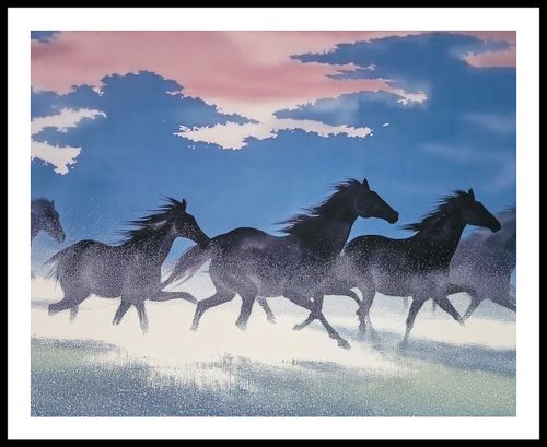 Plakat 76x60,5cm Wolność i Swoboda na Arena.pl