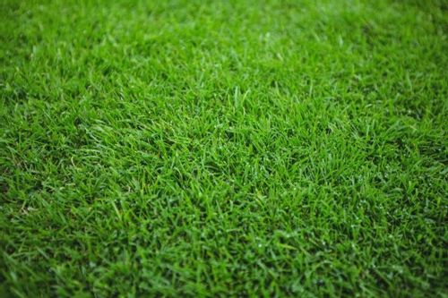 Chwastox Complex 260 EW 1L na Arena.pl