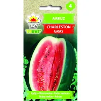 Arbuz CHARLESTON GRAY 1g