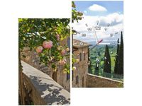 60X60CM ZEGAR RÓŻE BALKONIE OBRAZ DREWNO ŚCIAN KWADRAT