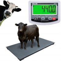WAGA INWENTARZOWA DO BYDŁA DO ŚWIŃ DO KRÓW do 5 TON 1X2,2M DO ZWIERZĄT