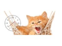 100X40CM ZEGAR ZEGAR ŚCIENNY KOTEK JEGO HAMAK OBRAZ