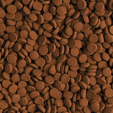 Tropical CARNIVORE 500ml na Arena.pl