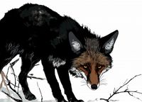 Plakat 18x13cm Nieufny Lis