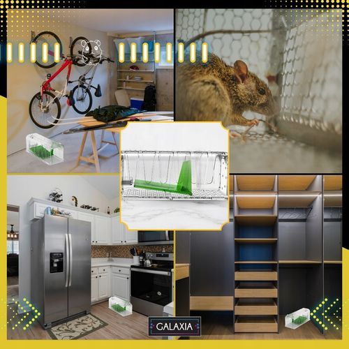 ŻYWOŁAPKA NA MYSZY 2 SZT Pułapka Łapka Szczury Pułapki Łapki 2X na Arena.pl