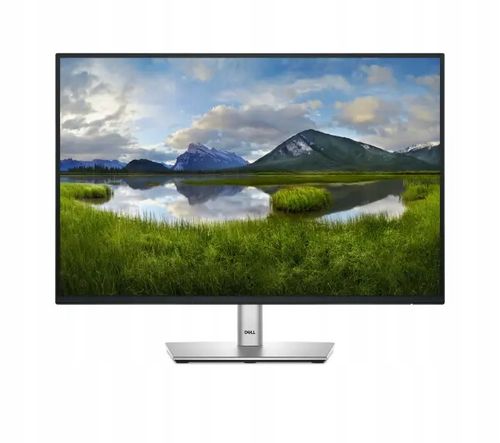 Monitor 24 cale Dell P2425E Full HD IPS 100Hz 5ms PIVOT na Arena.pl