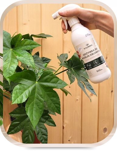 Odżywka Nawozowa Nawóz Do Liści Roślin Zielonych Monstery Palm Fikusa na Arena.pl