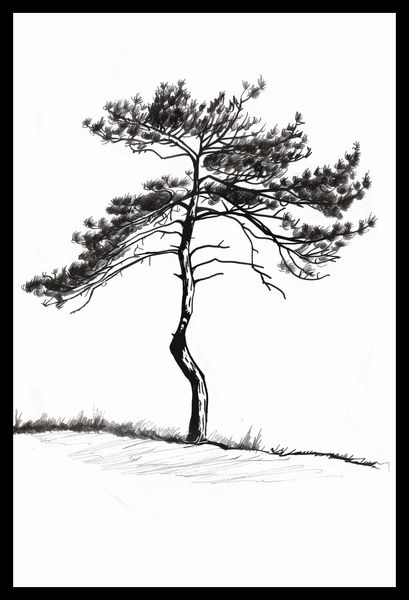 Plakat 30x45cm Samotna Sosna zdjęcie 2