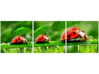 70 90CM OBRAZ 3 ELEM BIEDRONECZKI ŚCIENNY DRUK PŁÓTNO