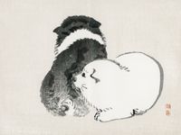 Plakat 40x30cm Black and White Puppies, Kōno Bairei Vintage do Salonu