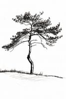 Plakat 20x30cm Samotna Sosna