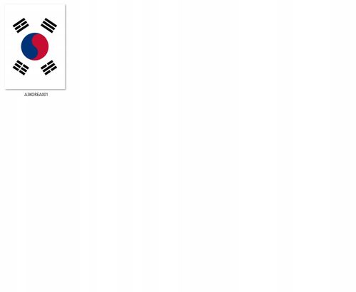 Plakat Korea DO WYBORU na Arena.pl