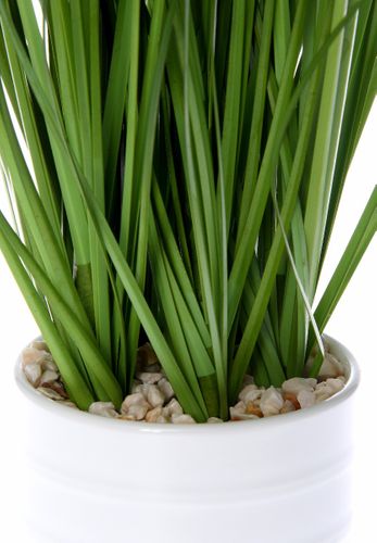 Trawa Mini Green 30 Cm na Arena.pl