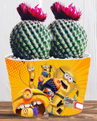 Doniczka do kwiatów/roślin - Minionki i Gru